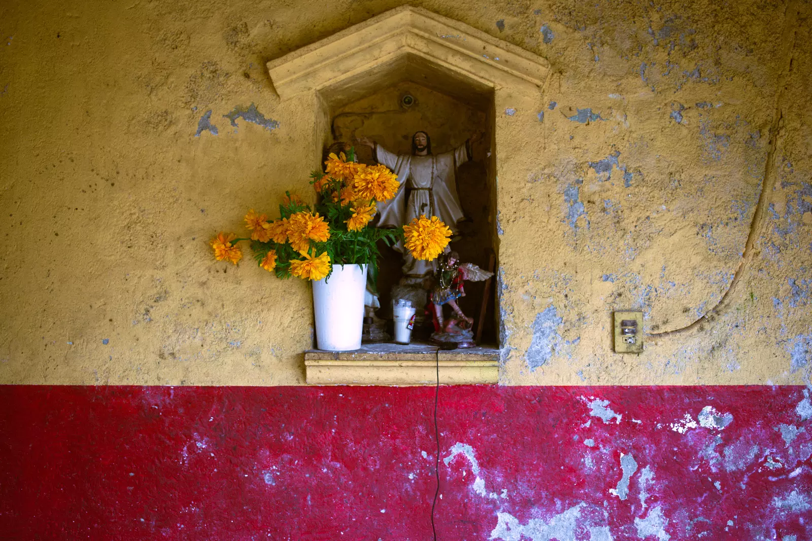 Gallery Image - blog-63.webp