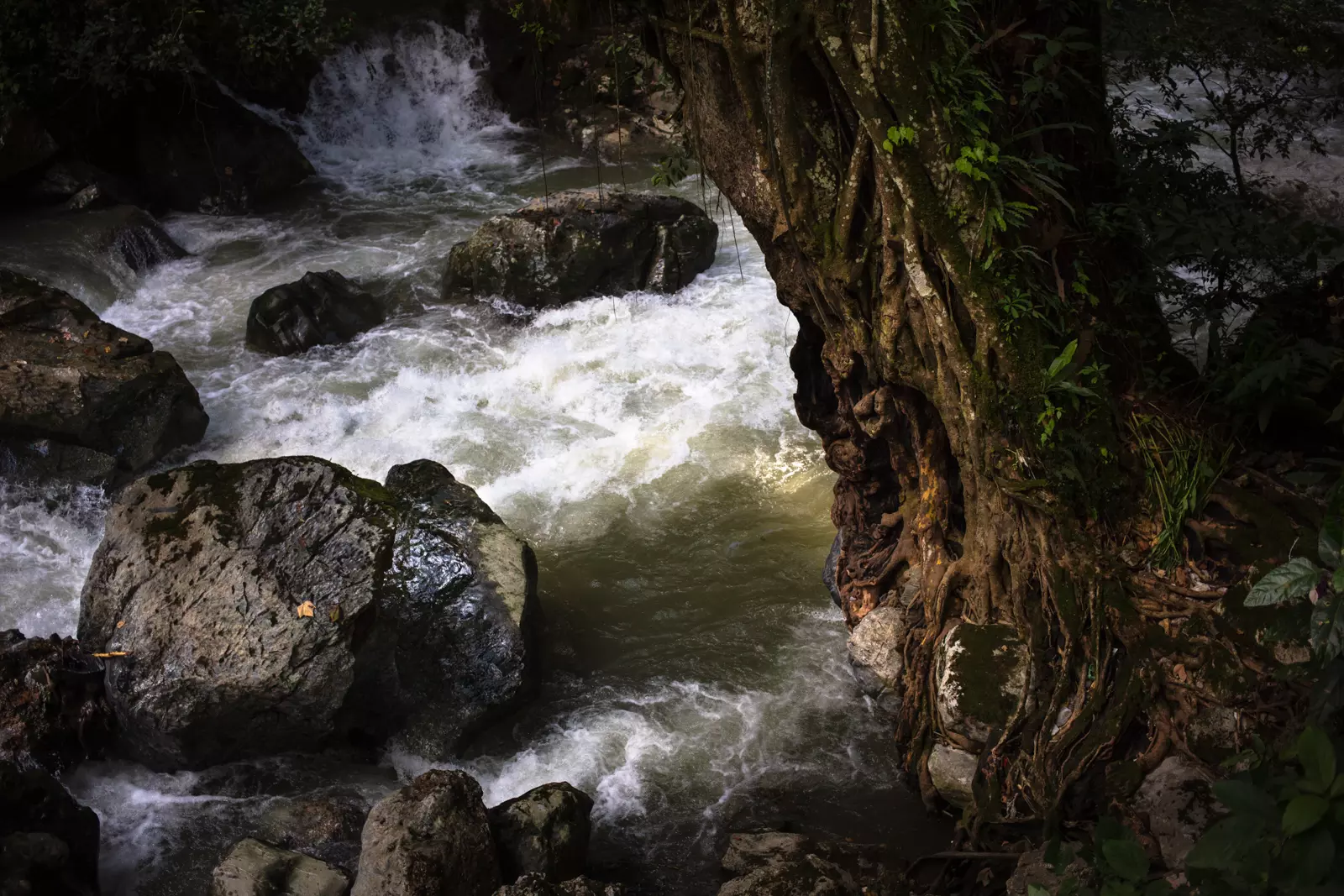 Gallery Image - blog-79.webp