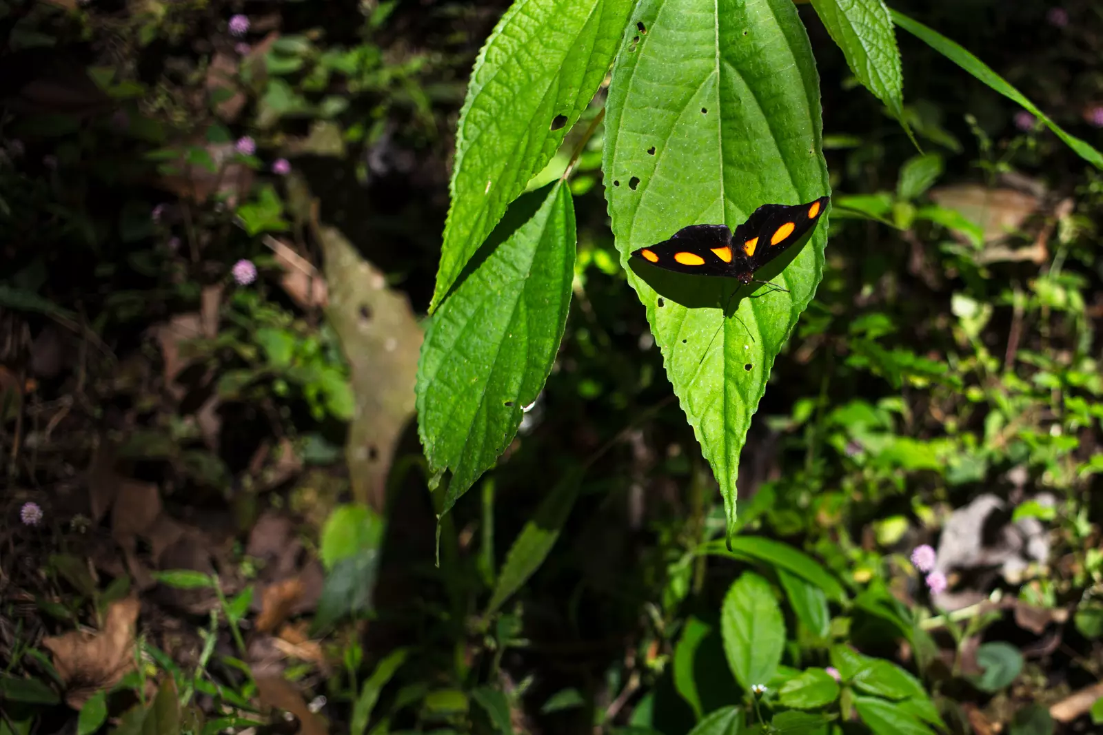 Gallery Image - blog-80.webp