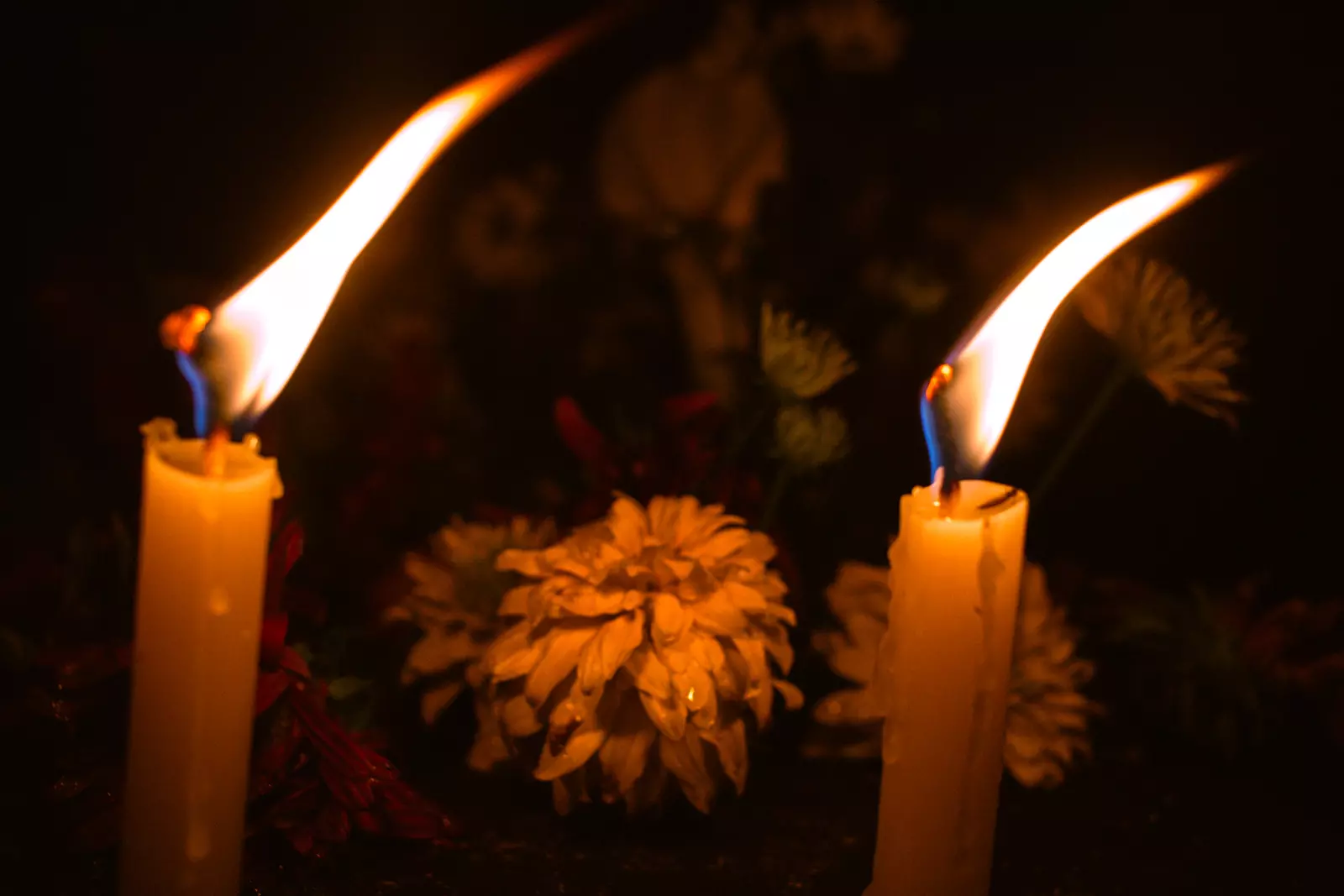 Gallery Image - blog-89.webp