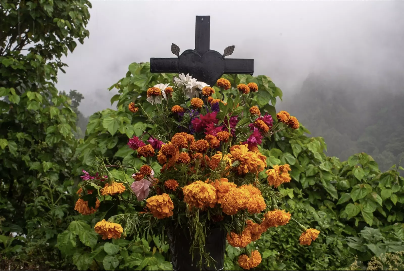 Day of the Dead Photography Workshop - Mexican traditions