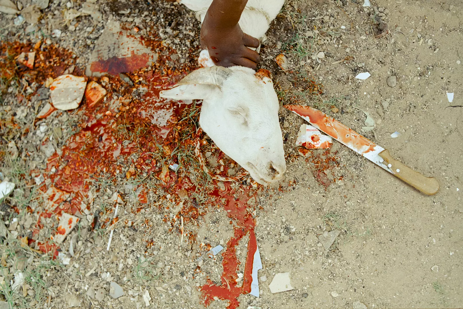 Photography Workshop in Senegal - Documentary and culture
