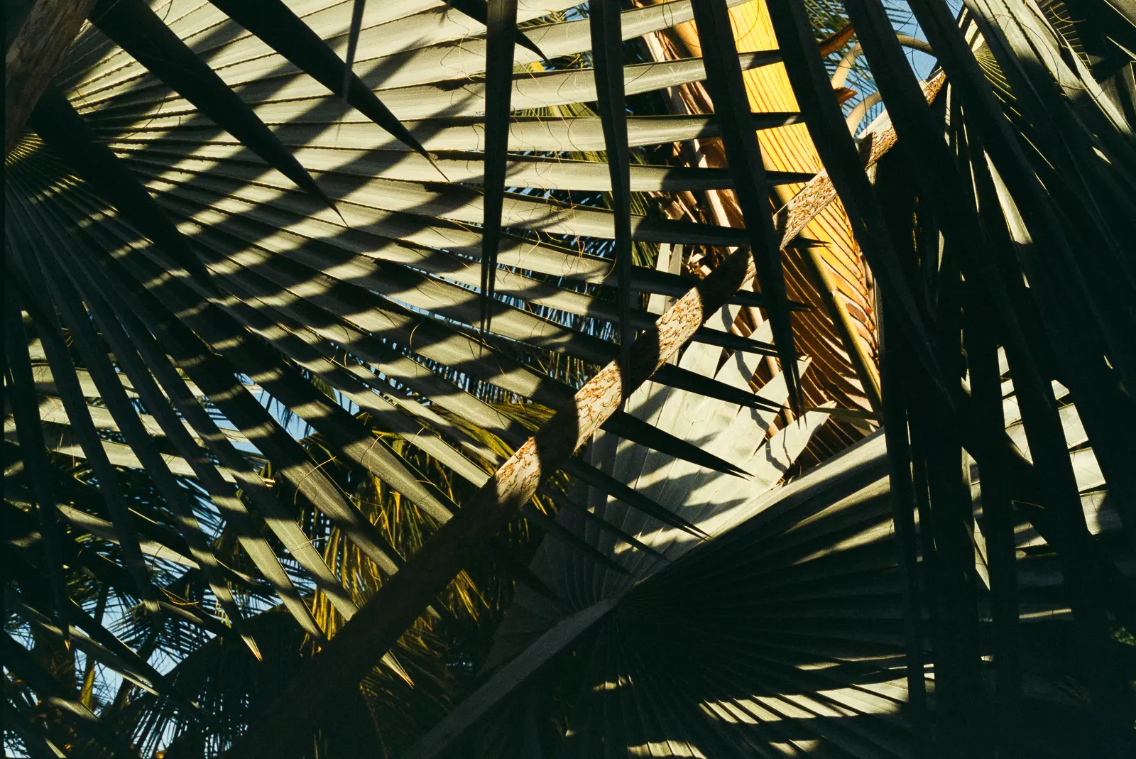 Photography Workshop in Senegal - Documentary and culture