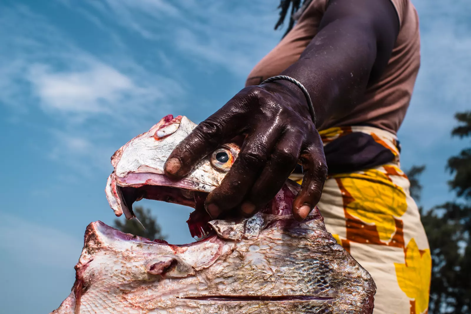 Photography Workshop in Senegal - Documentary and culture
